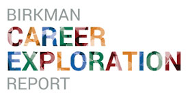 Birkman Career Report